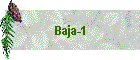 Baja-1