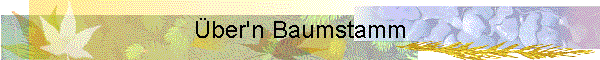 ber'n Baumstamm