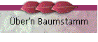 ber'n Baumstamm