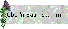 ber'n Baumstamm