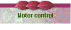 Motor control
