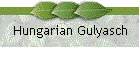 Hungarian Gulyasch