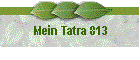 Mein Tatra 813