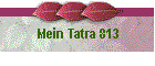 Mein Tatra 813