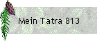 Mein Tatra 813