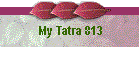 My Tatra 813