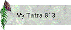 My Tatra 813